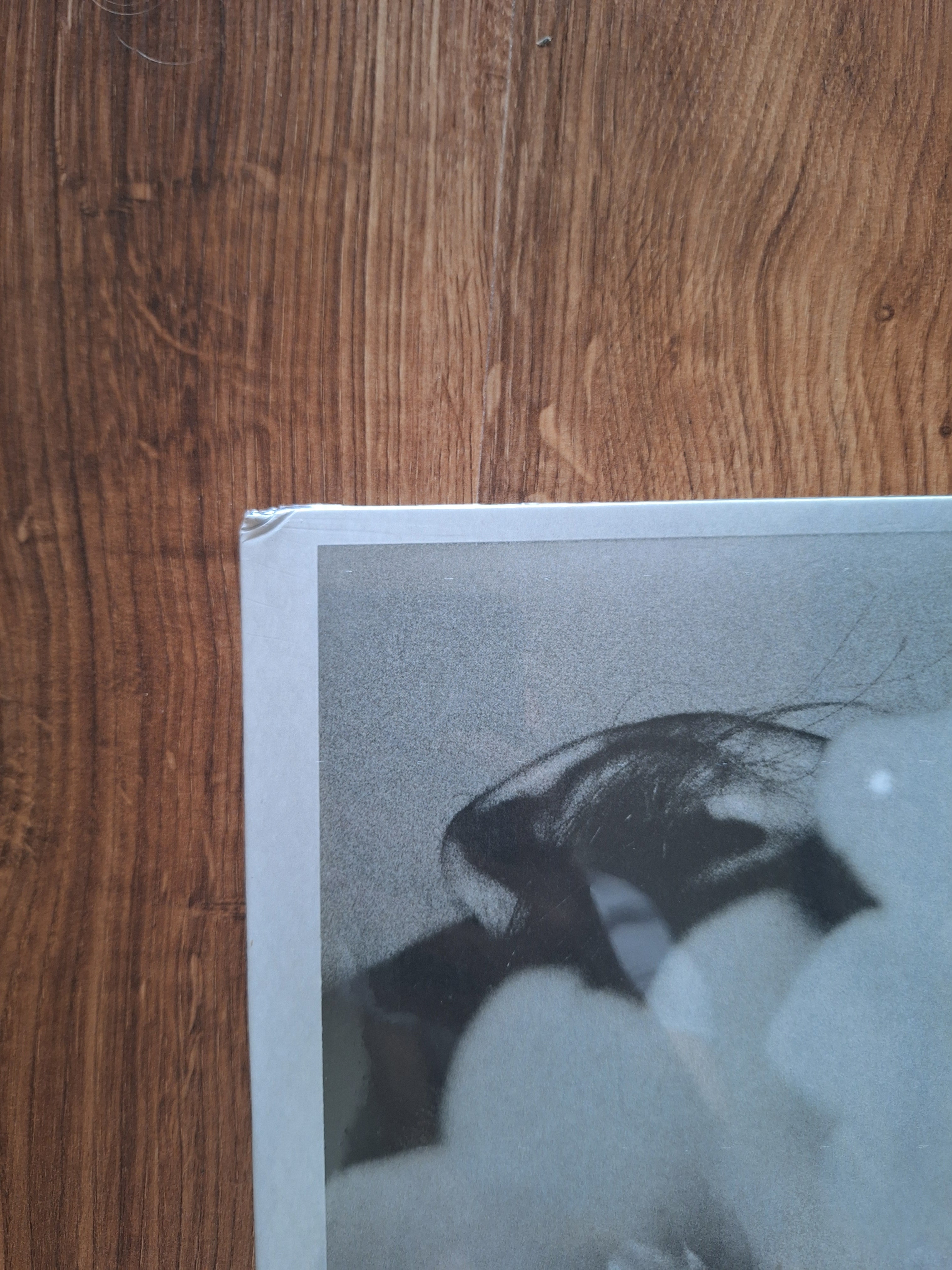 Ariana Grande: petal Gray Skies Exclusive Edition Alternate Cover Vinyl Last One! B-STOCK